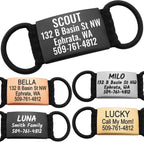 GoTags Silent Personalized Engraved Pet ID Tag front view showing stainless steel finish