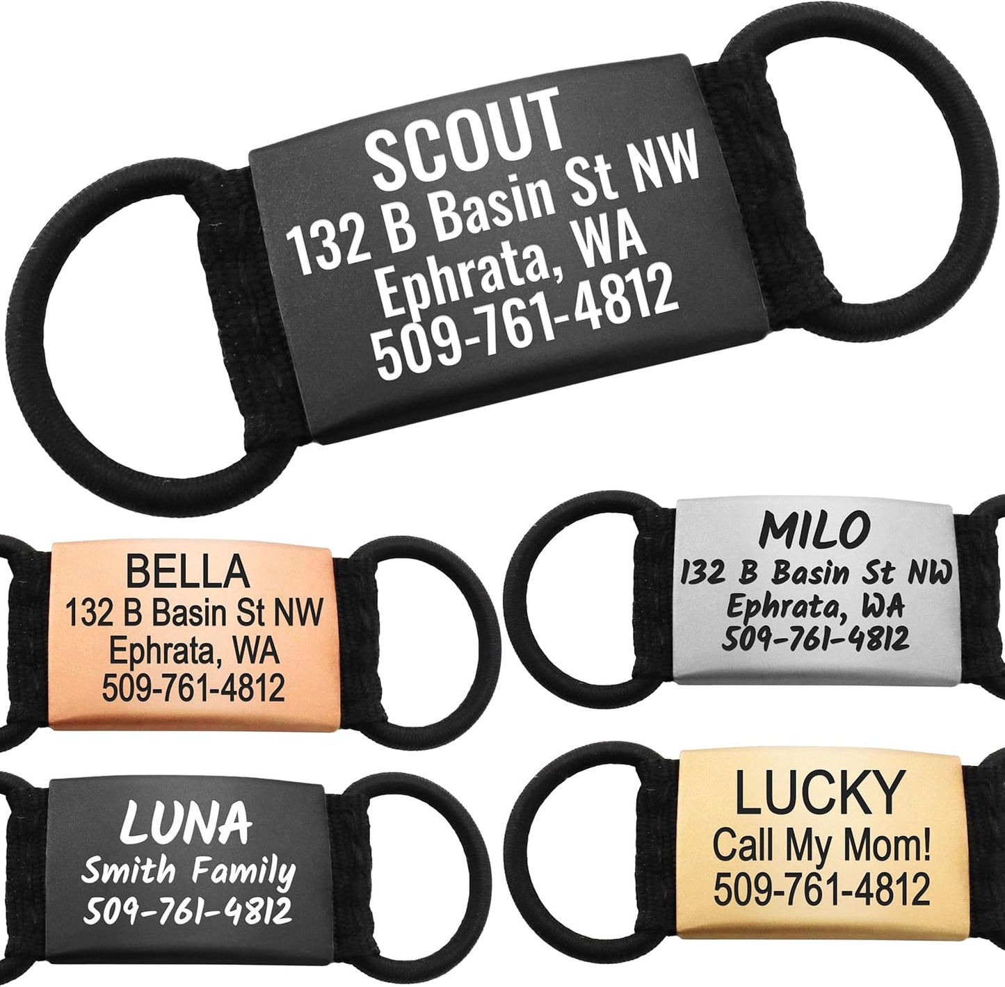 GoTags Silent Personalized Engraved Pet ID Tag front view showing stainless steel finish