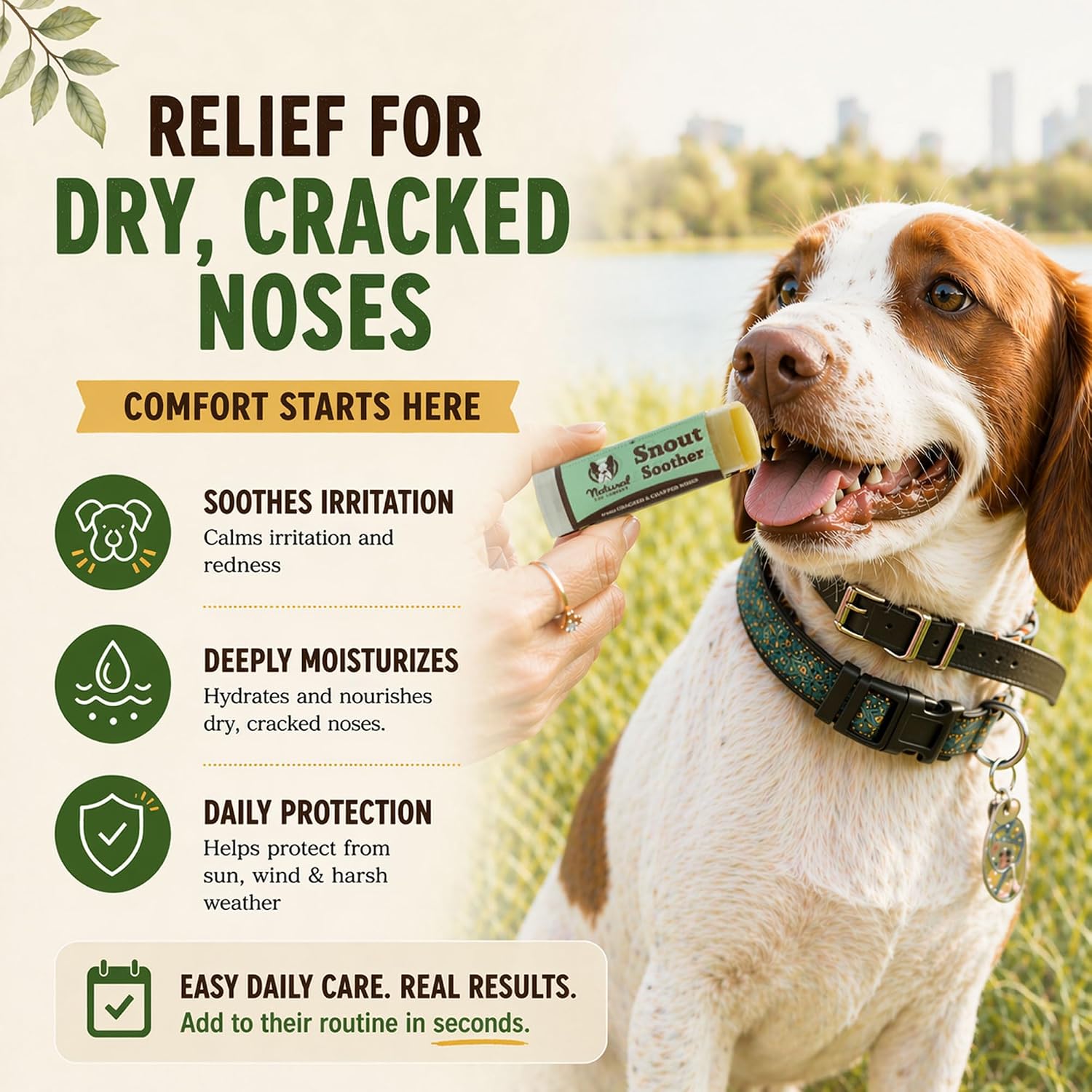 Vegan non toxic dog chapped nose remedy being applied to a pet snout
