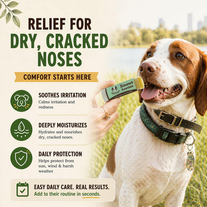 Vegan non toxic dog chapped nose remedy being applied to a pet snout