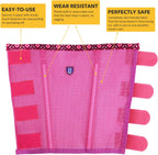 CareMaster breathable mesh horse leggings preventing fly bites in a pasture setup.