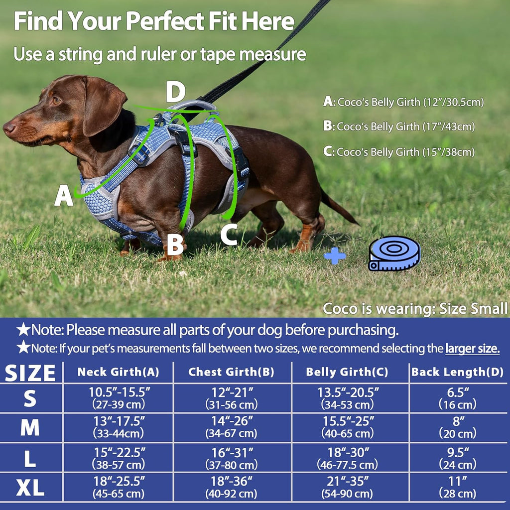 Huntboo escape proof dog harness on a small french bulldog puppy