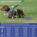 Huntboo escape proof dog harness on a small french bulldog puppy