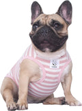 ICHOUE French Bulldog striped cotton shirt front view worn by a puppy.