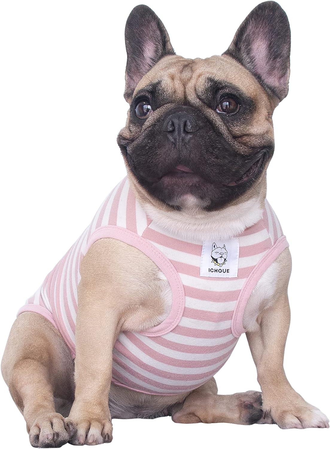 ICHOUE French Bulldog striped cotton shirt front view worn by a puppy.