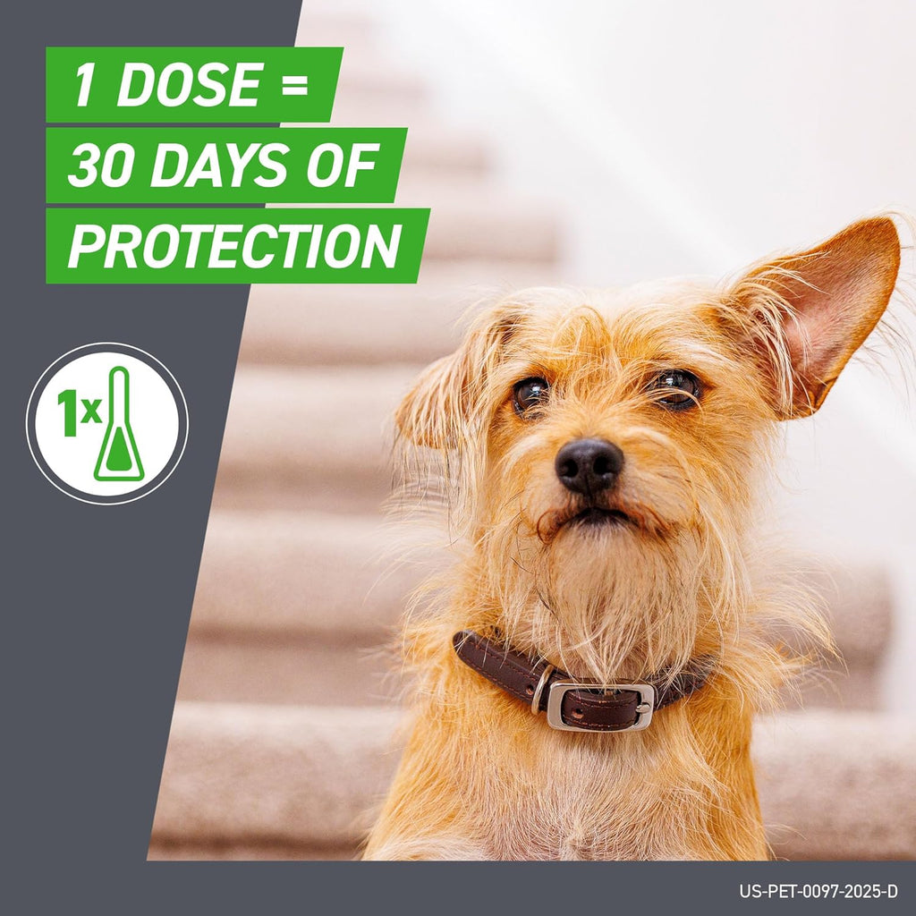 Application instructions for Frontline Plus spot on treatment for large dogs
