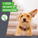 Application instructions for Frontline Plus spot on treatment for large dogs