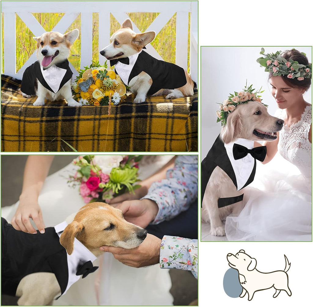 Weewooday elegant pet tuxedo for medium and large dogs back view