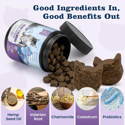 PLBKCTS Calming Care for Indoor Cats 300 soft chews jar front view for cat anxiety relief.