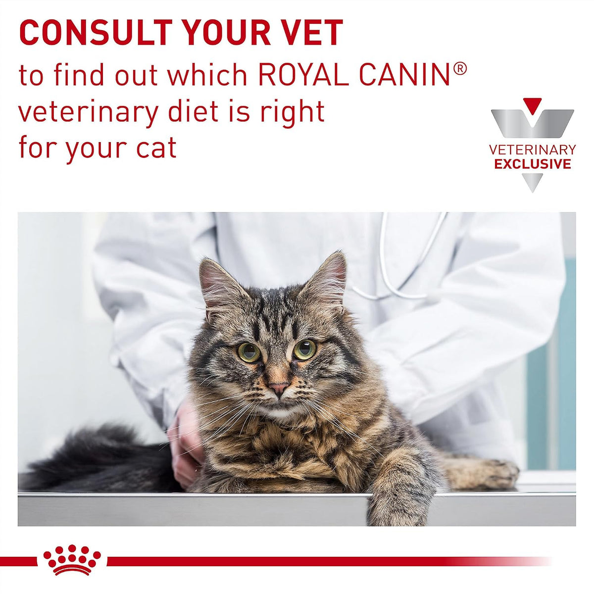 Royal Canin Veterinary Diet Feline Gastrointestinal Kitten Dry Cat Food, 4.4 lb Bag - Image 14