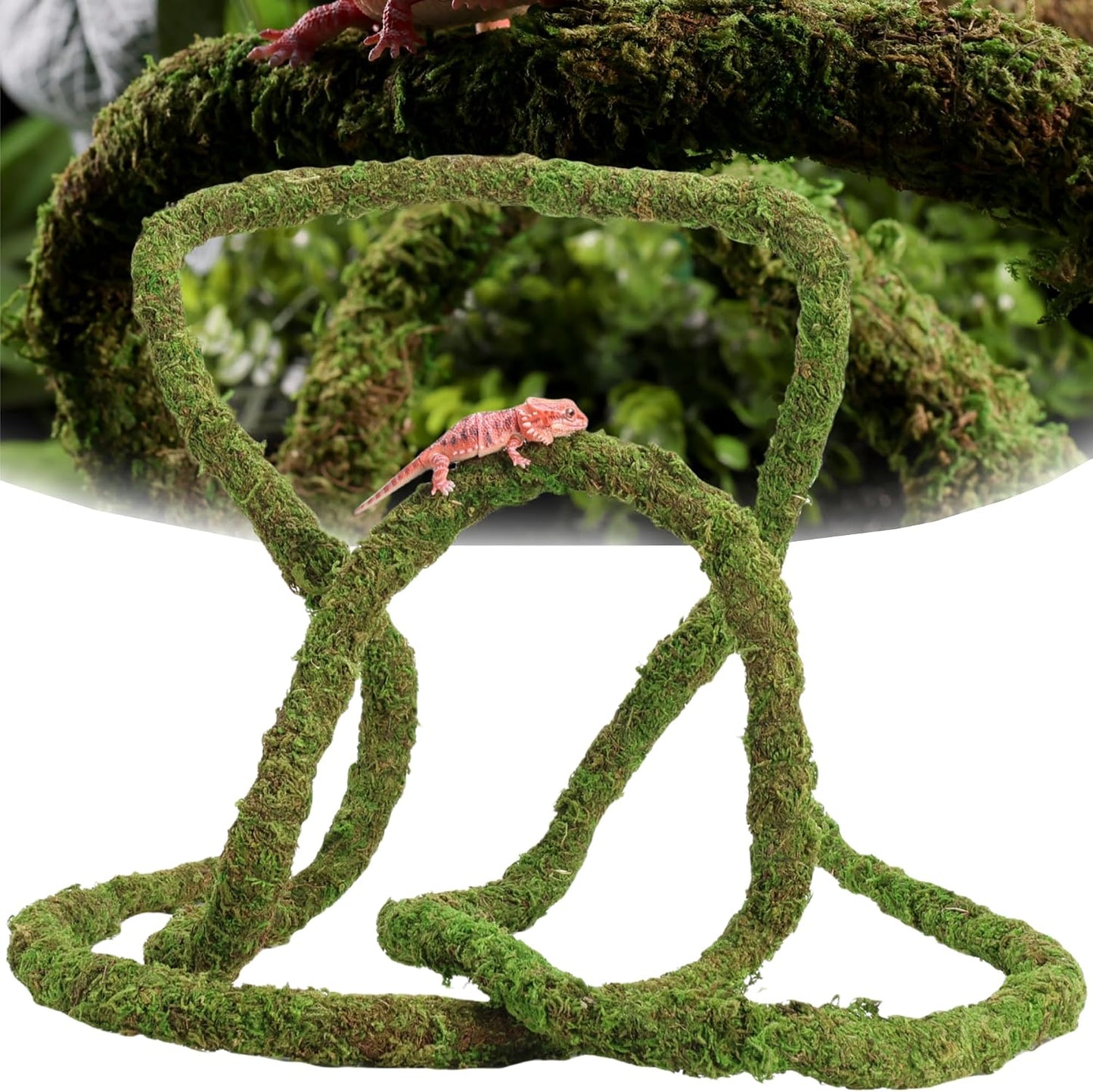 Usmola moss vine for reptiles coiled in a terrarium