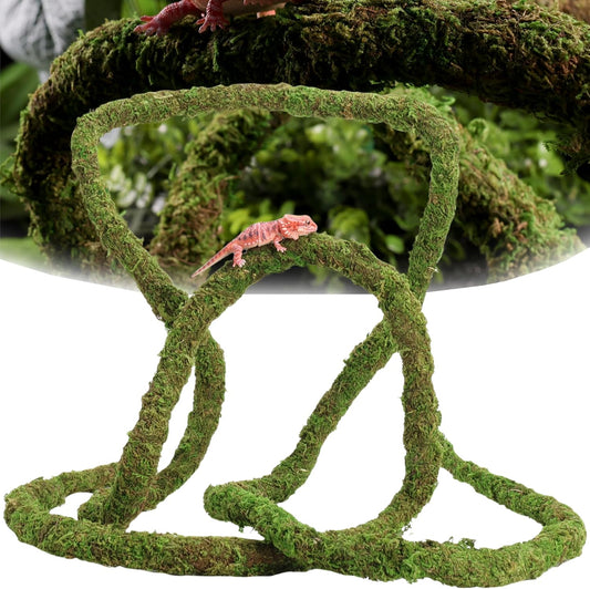 Usmola moss vine for reptiles coiled in a terrarium