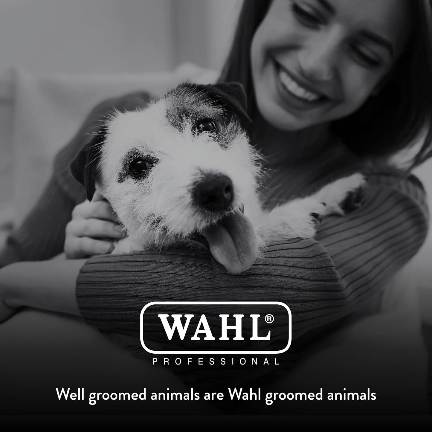 Packaging box of the authentic Wahl KM10 plus professional corded animal grooming kit.