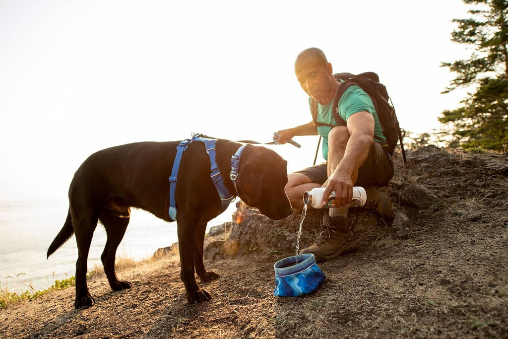 Ruffwear Quencher fabric bowl packed neatly inside a travel backpack pocket