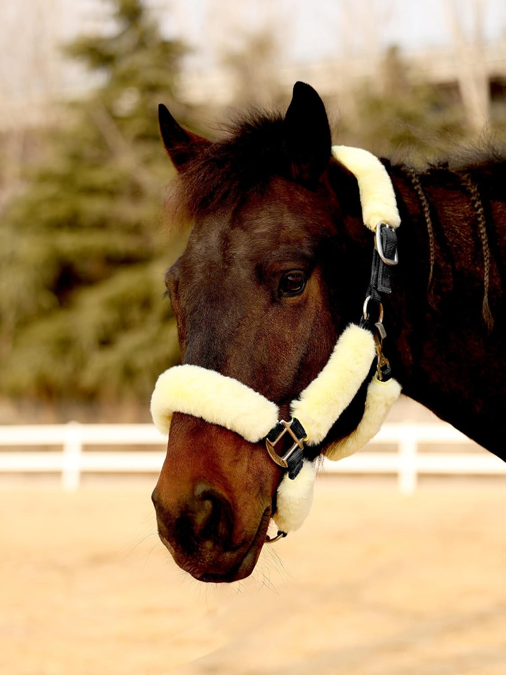Harrison Howard Fleece Halter Covers for Horses, Set of 9, Prevent Hair Loss Pressure Marks, Padded Horse Halter Fleece Set Black - Image 14