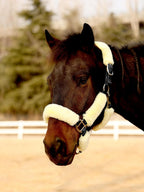 Harrison Howard Fleece Halter Covers for Horses, Set of 9, Prevent Hair Loss Pressure Marks, Padded Horse Halter Fleece Set Black - Image 14