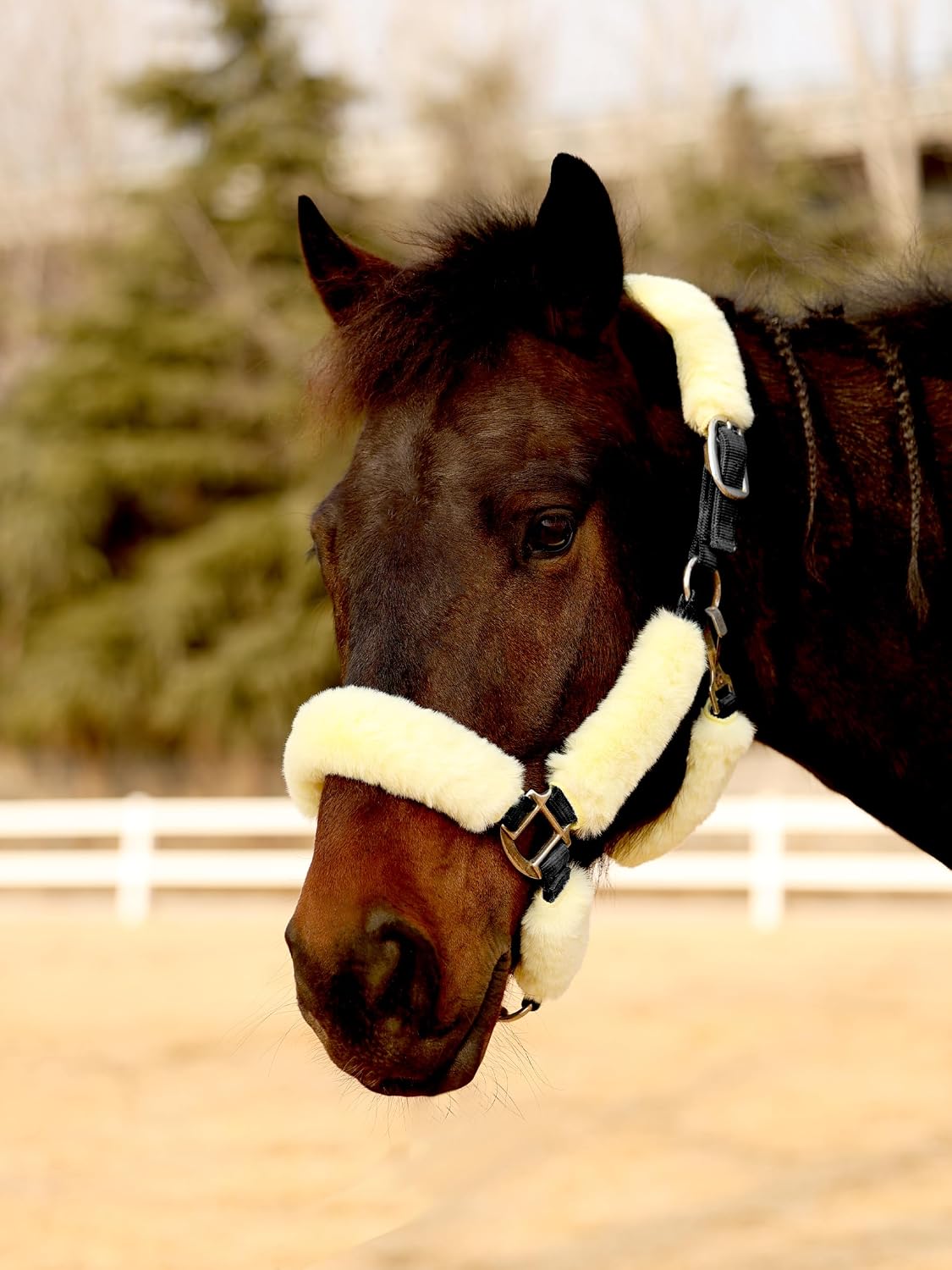 Harrison Howard Fleece Halter Covers for Horses, Set of 9, Prevent Hair Loss Pressure Marks, Padded Horse Halter Fleece Set Black - Image 14