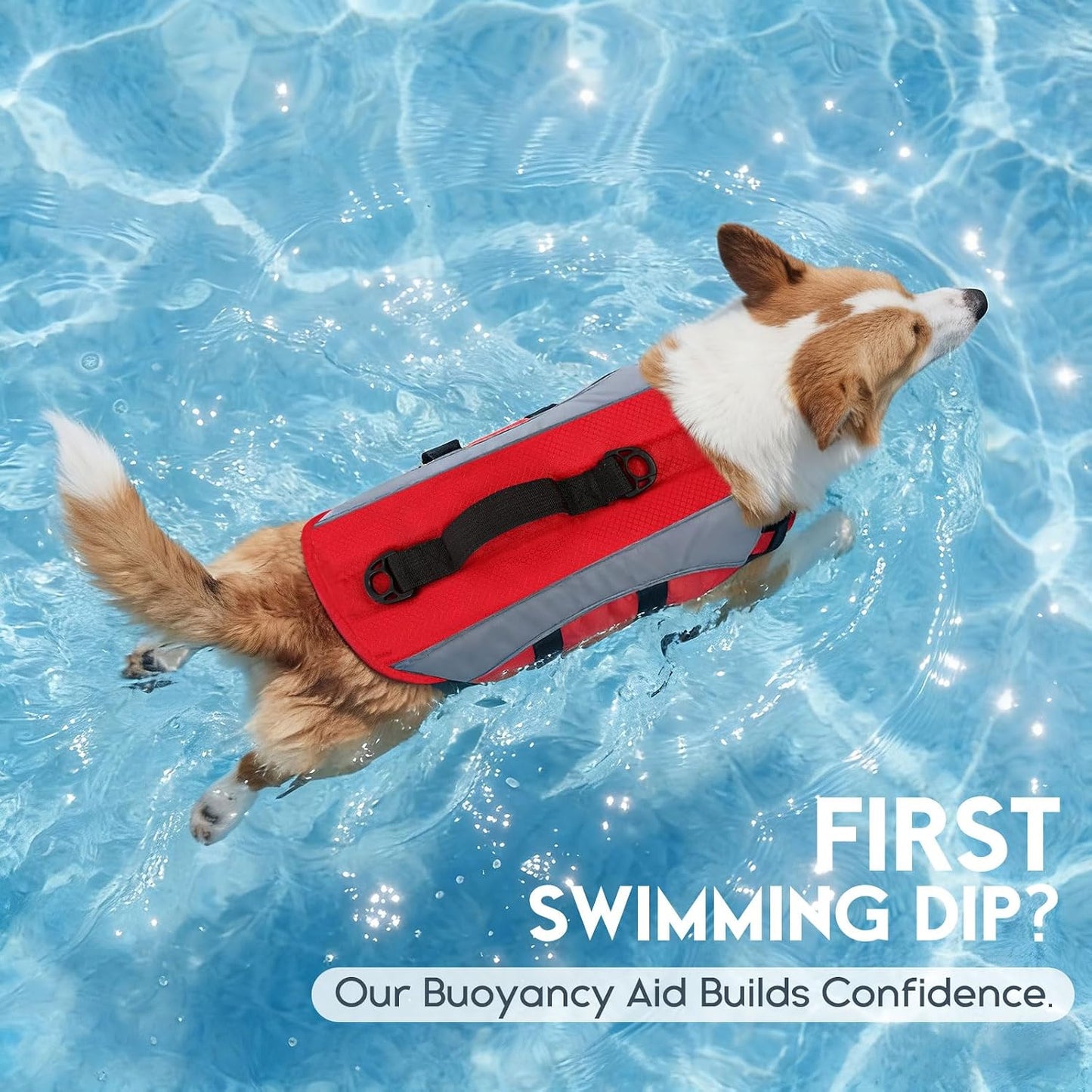 ASENKU tear resistant dog safety swimsuit on a large breed