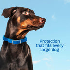Adjustable buckle detail on Adams dog flea collar