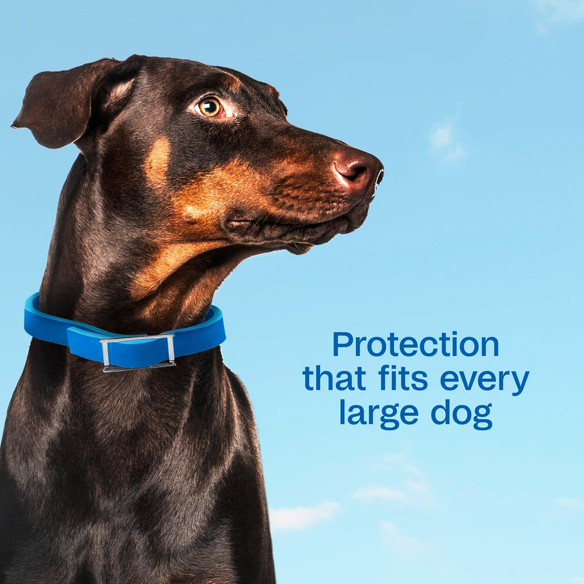 Adjustable buckle detail on Adams dog flea collar