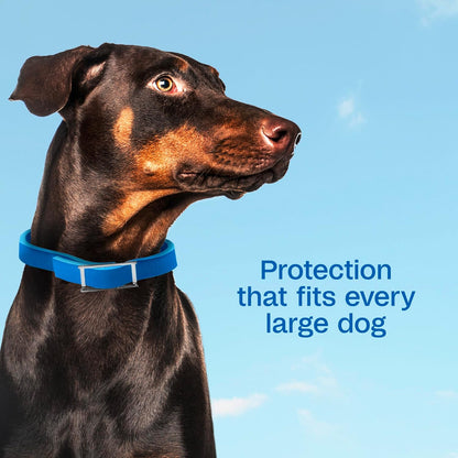 Adjustable buckle detail on Adams dog flea collar