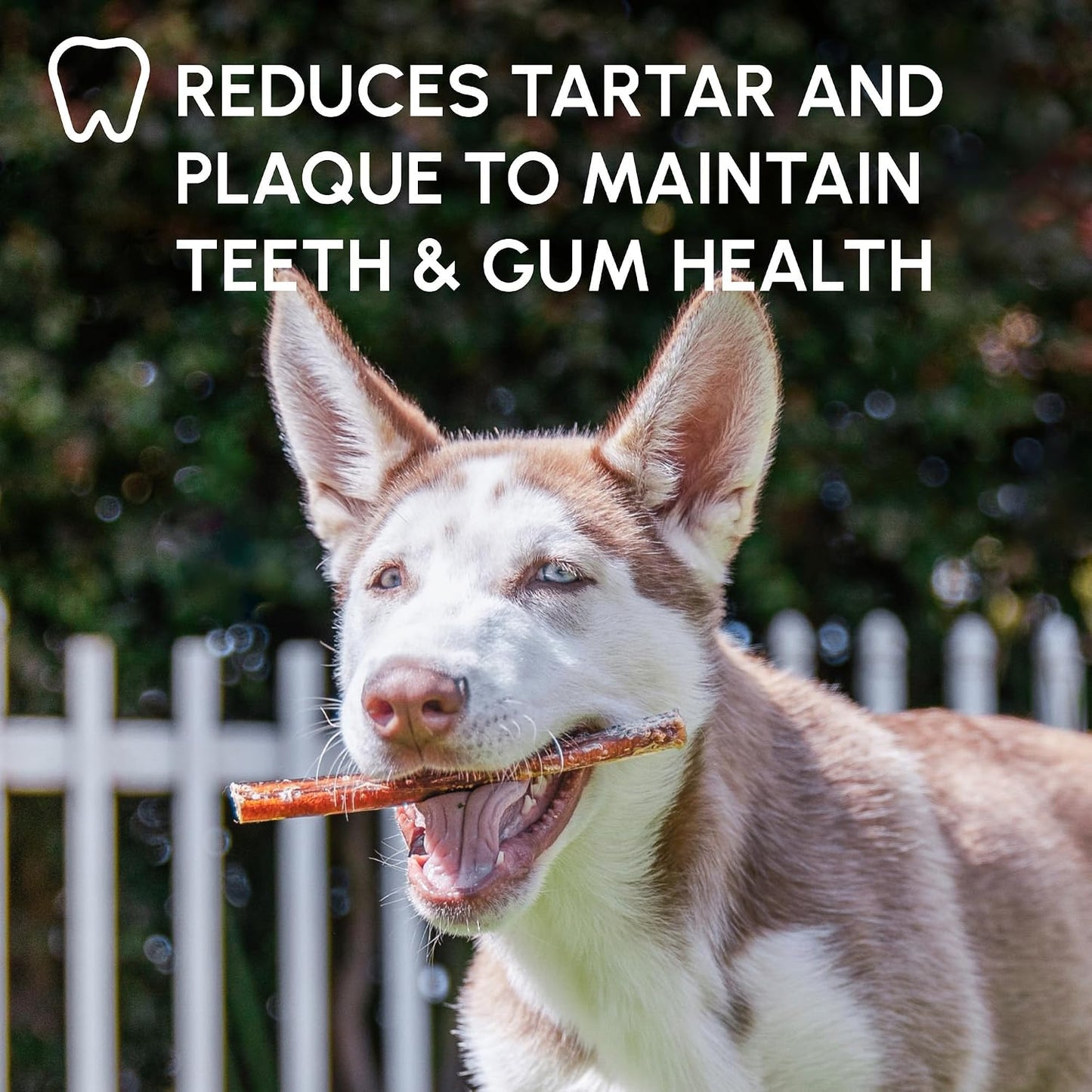 High-protein digestible healthy beef sticks for dogs of all breeds and sizes.