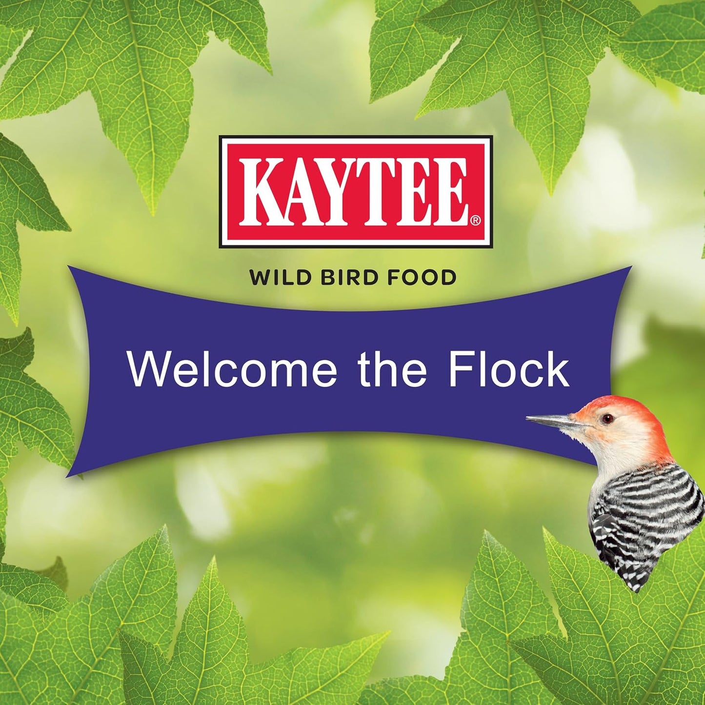 Authentic Kaytee woodpecker seed cake for bird enthusiasts