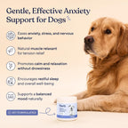 Pawfy premium turkey flavored calming soft chews for pet anxiety management