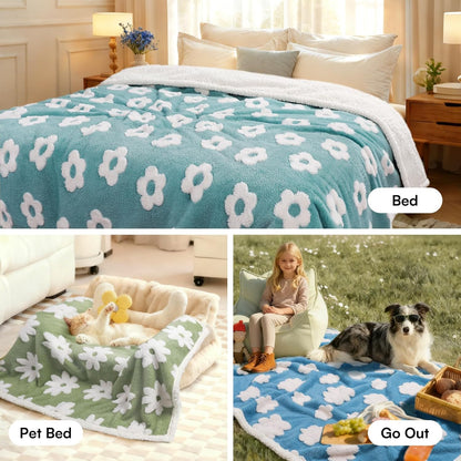 Luciphia blue plush fleece kitten blanket inside crate view