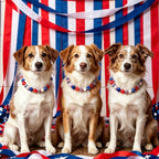 Side angle view of the adjustable festive pet necklace highlighting the secure heavy duty wire construction.