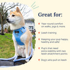 Close up of adjustable chest straps on denim dog harness