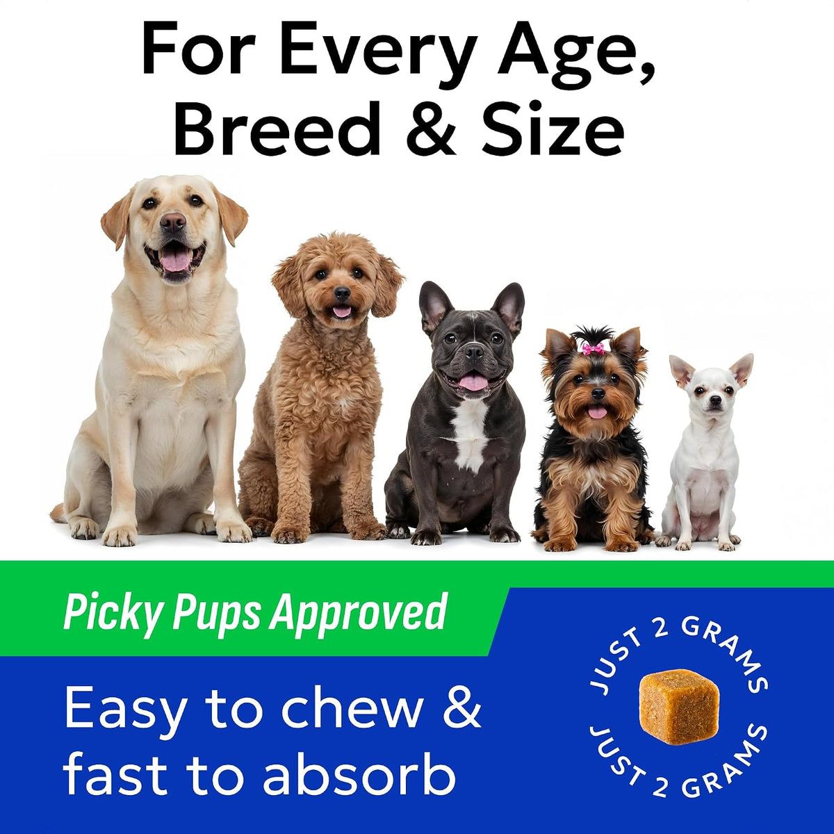 Dog eating Bark and Spark digestive health treat