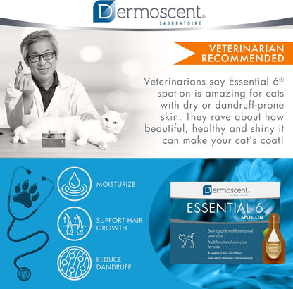 Bayer Dermoscent Essential 6 for cats product box back info