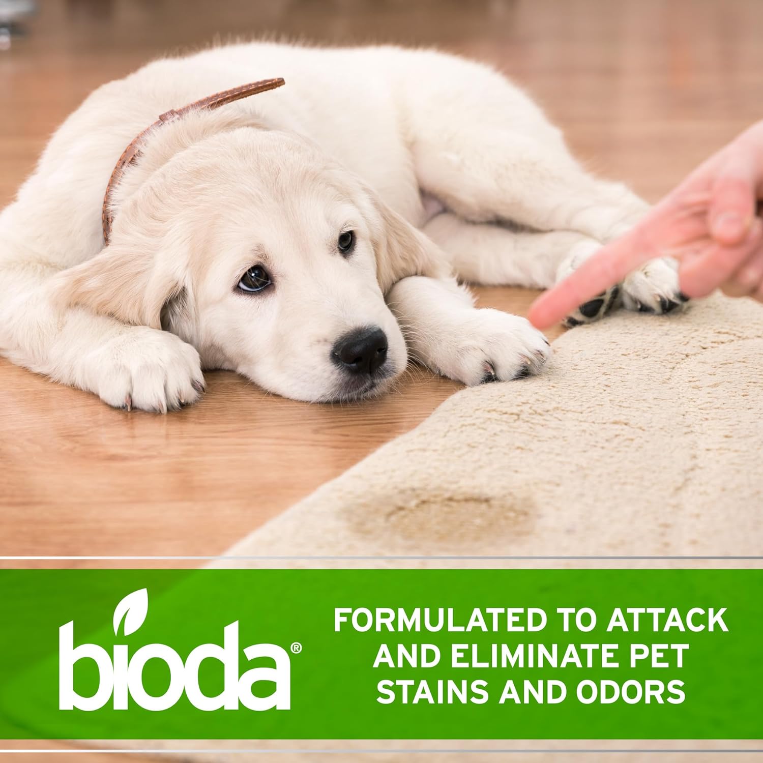 Bioda enzyme cleaner for dog and cat urine removal