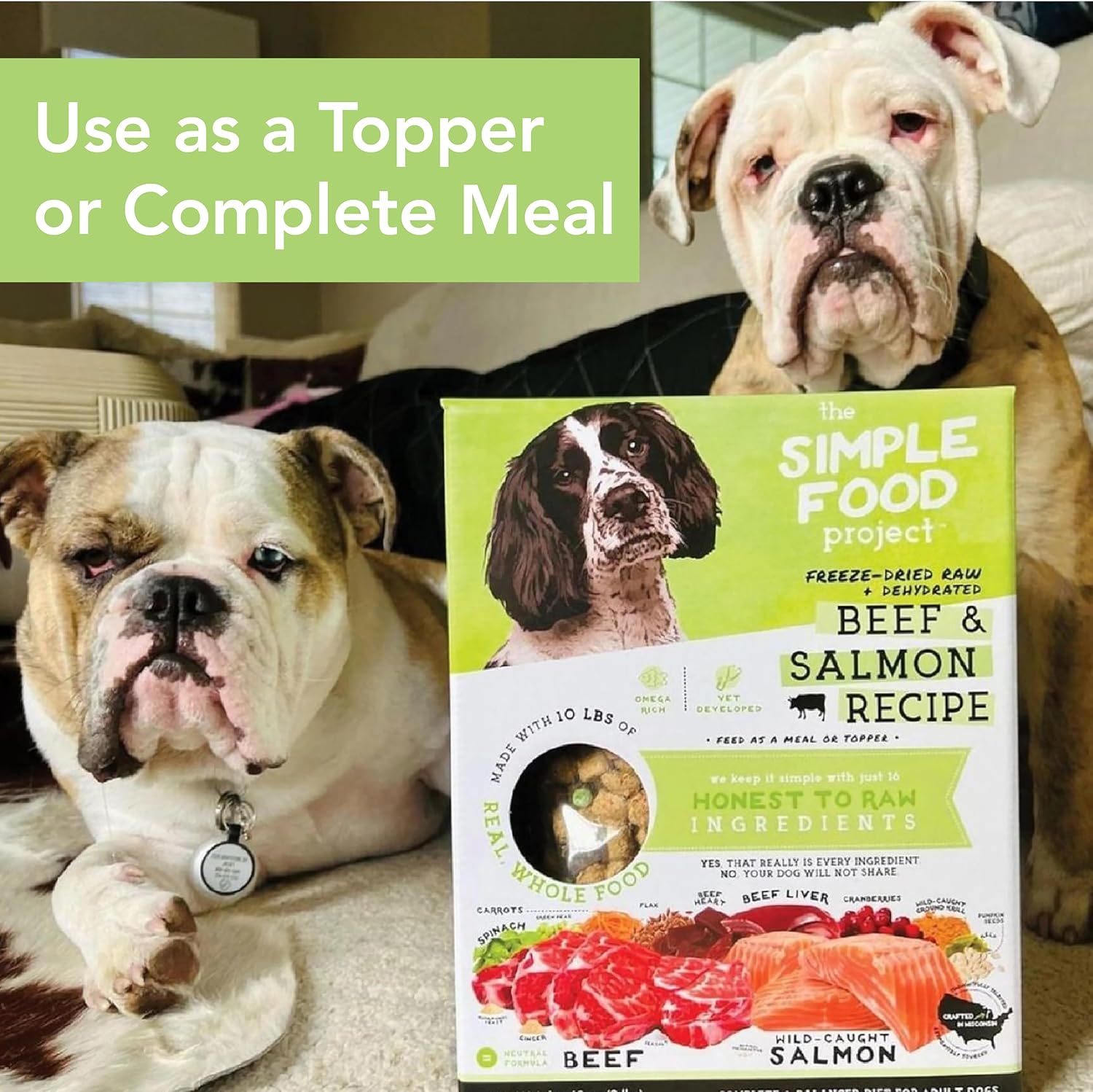 Adult dog waiting for a bowl of rehydrated Simple Food Project raw food