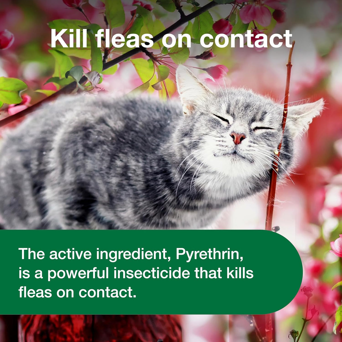 Close up of Advantage flea spray nozzle for cats
