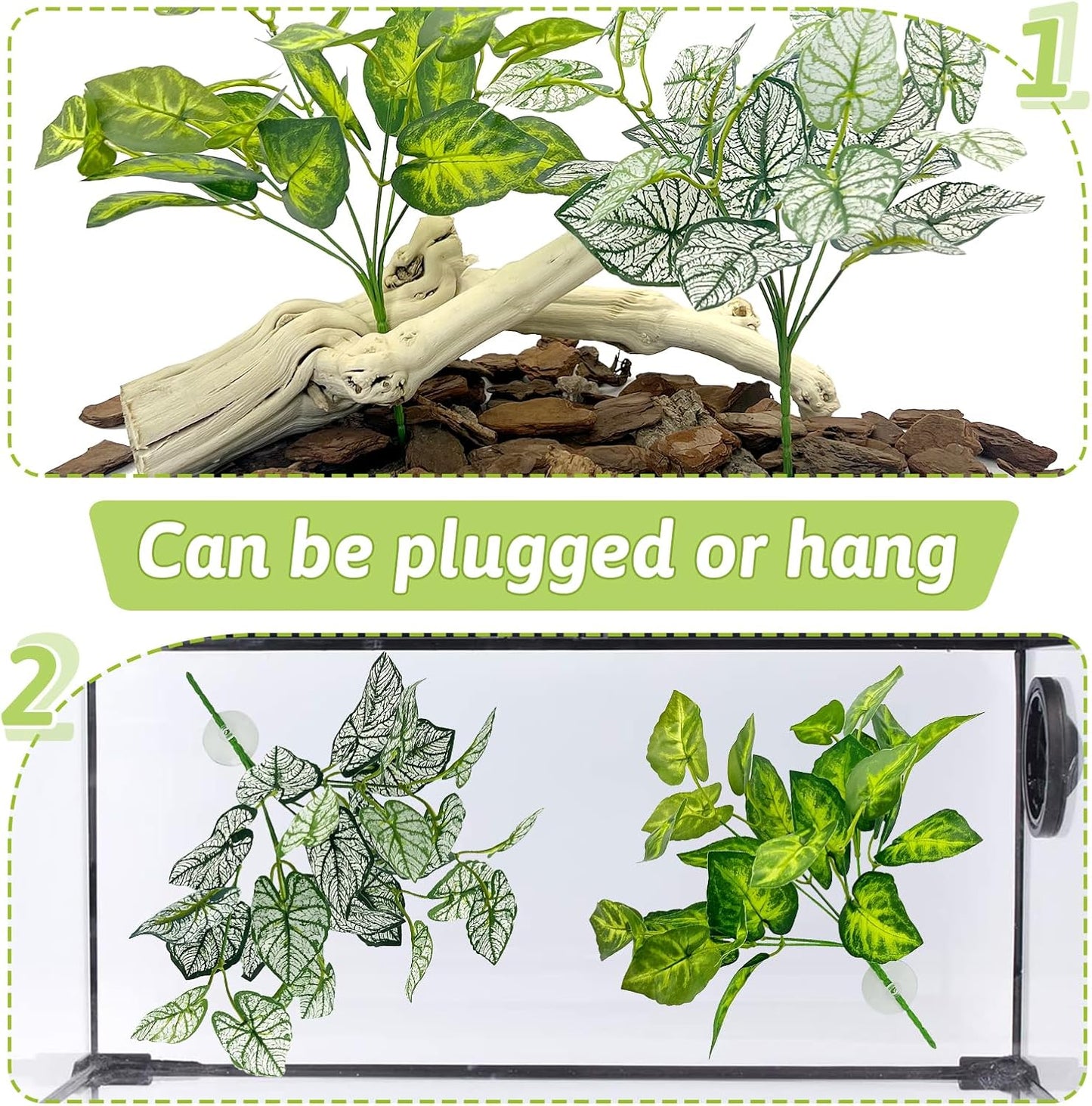Reptile enclosure setup with Hamiledyi green leaf vines