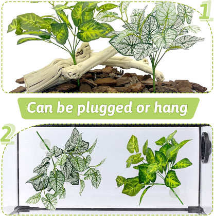 Reptile enclosure setup with Hamiledyi green leaf vines