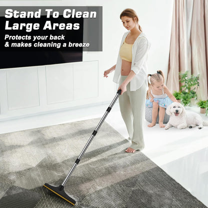 B-Land carpet rake cleaning embedded dog hair from rug