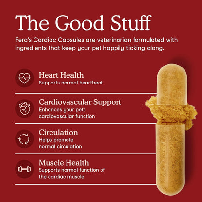 Fera Pets pet heart supplement jar displaying taurine and L carnitine ingredients
