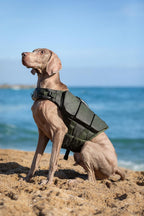 NOAH & PAW Dog Life Jacket, Human Standards Lifejacket Design, Dog Life Vest for Swimming and Boating, 3X Foam Support for Max Floating, Breathable Mesh, Salvavidas para Perros, Size M - Image 9