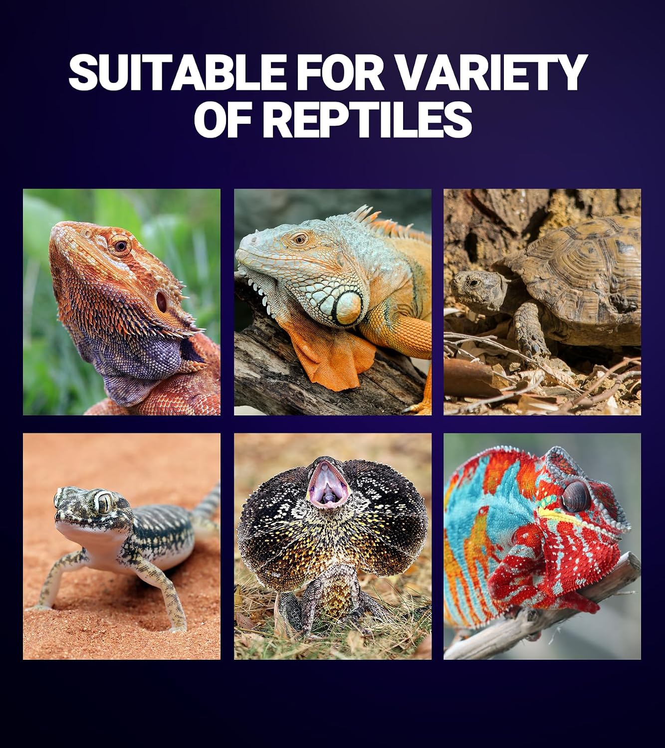 Infrared UVA free reptile night heat lamp showcasing the durable vacuum aluminizing internal elements.