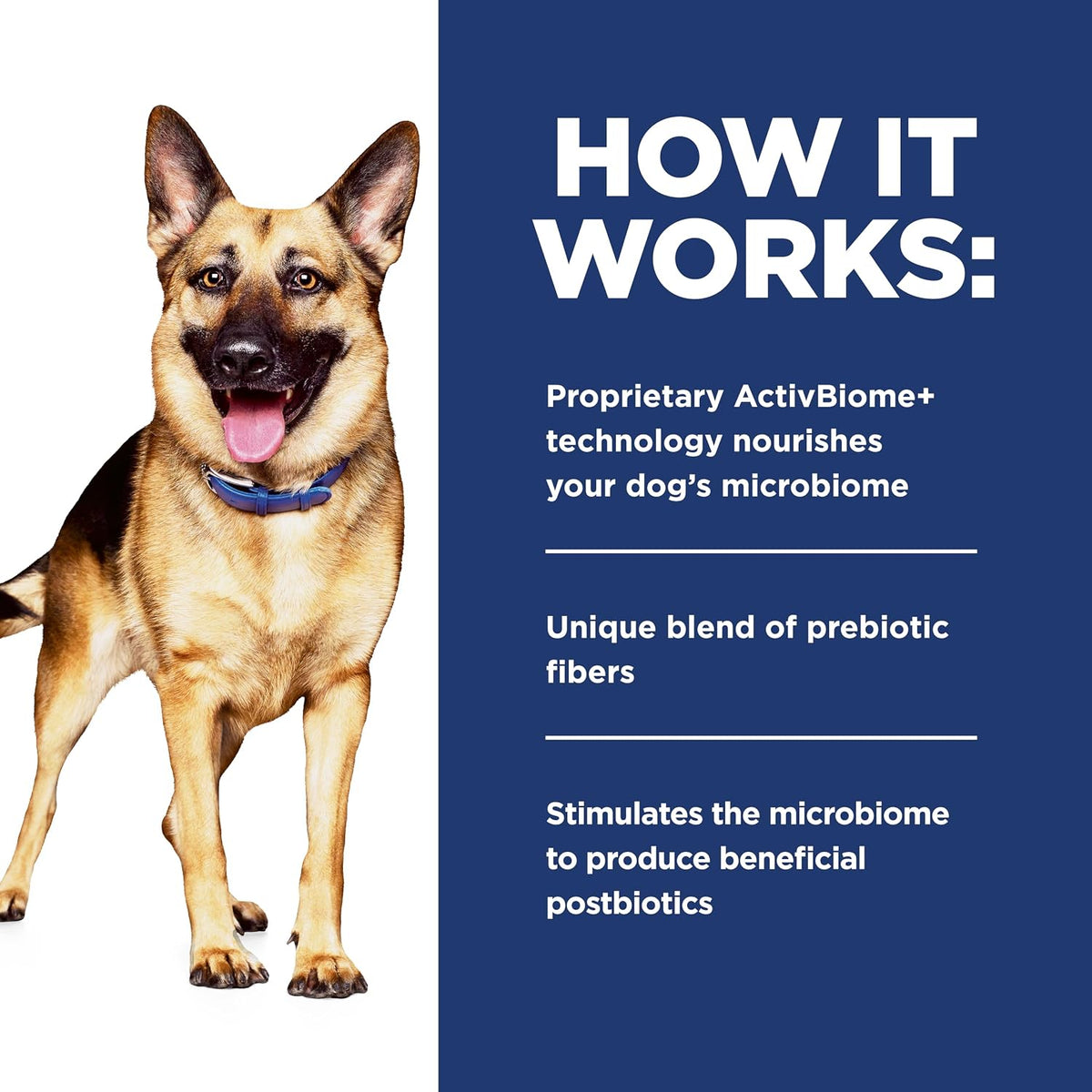 Authentic imported Hill's Prescription Diet 24 pouch carton display for pet digestive health