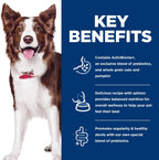 Hill's Science Diet dog food kibble texture and salmon recipe branding