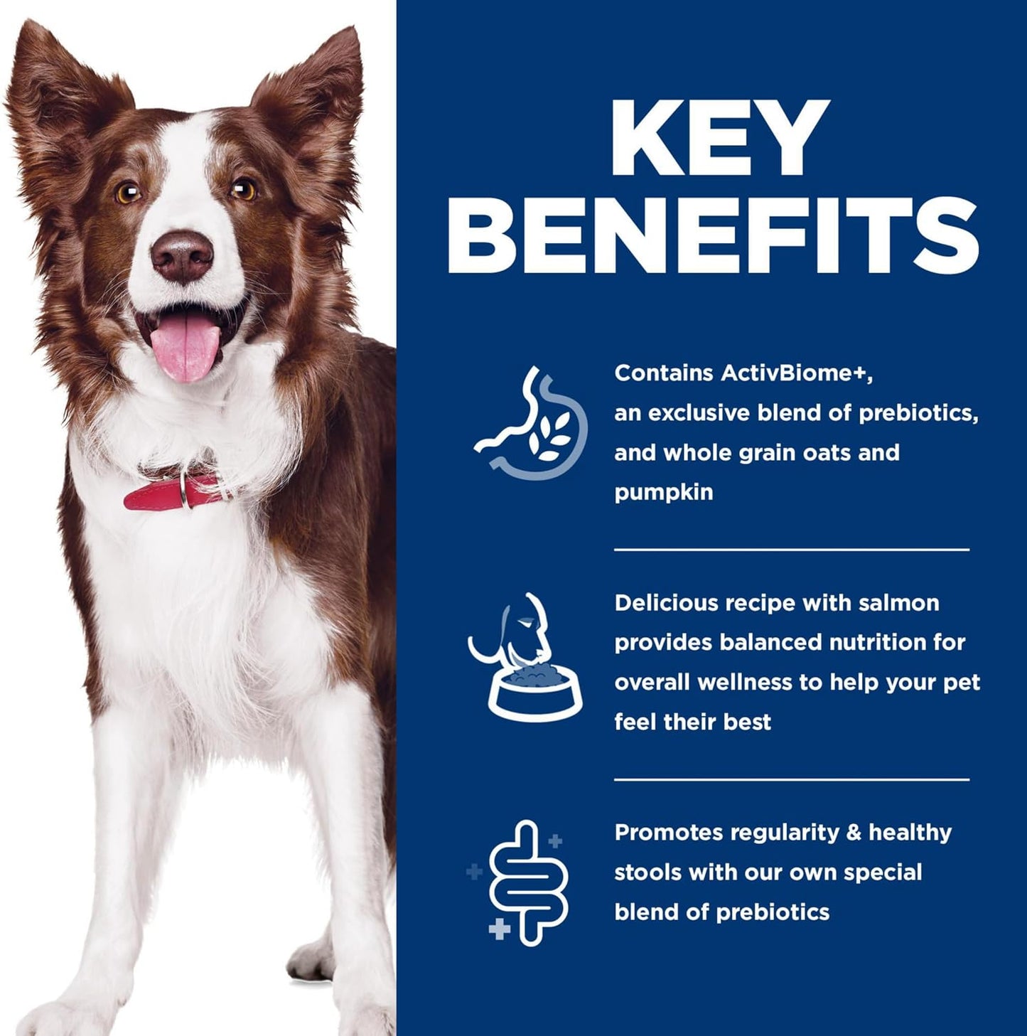 Hill's Science Diet dog food kibble texture and salmon recipe branding