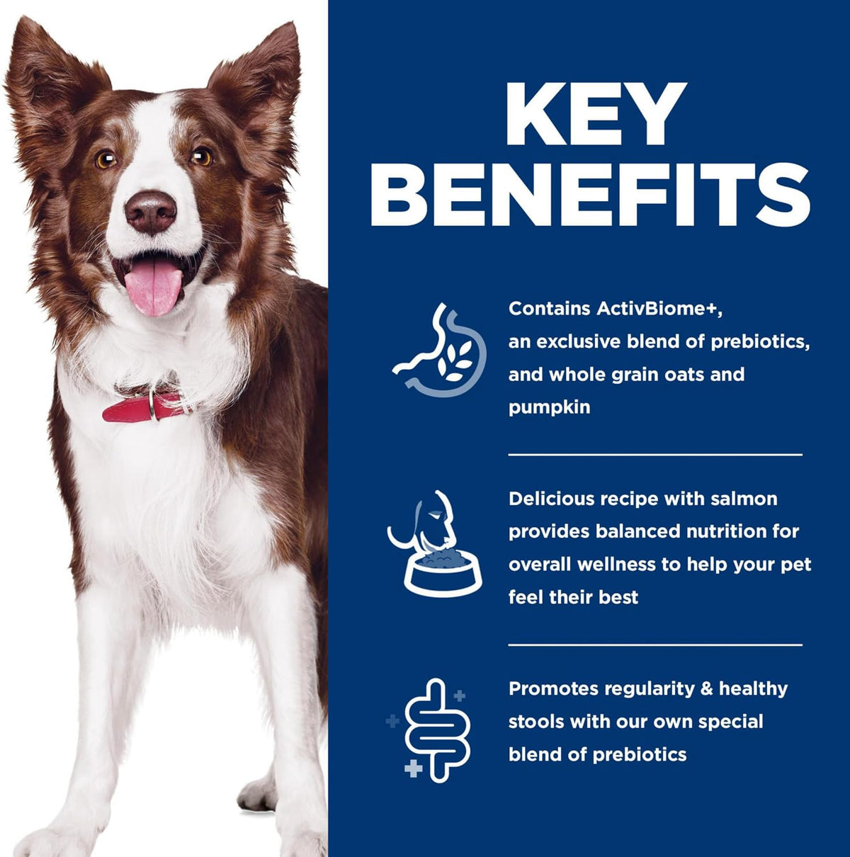 Hill's Science Diet dog food kibble texture and salmon recipe branding