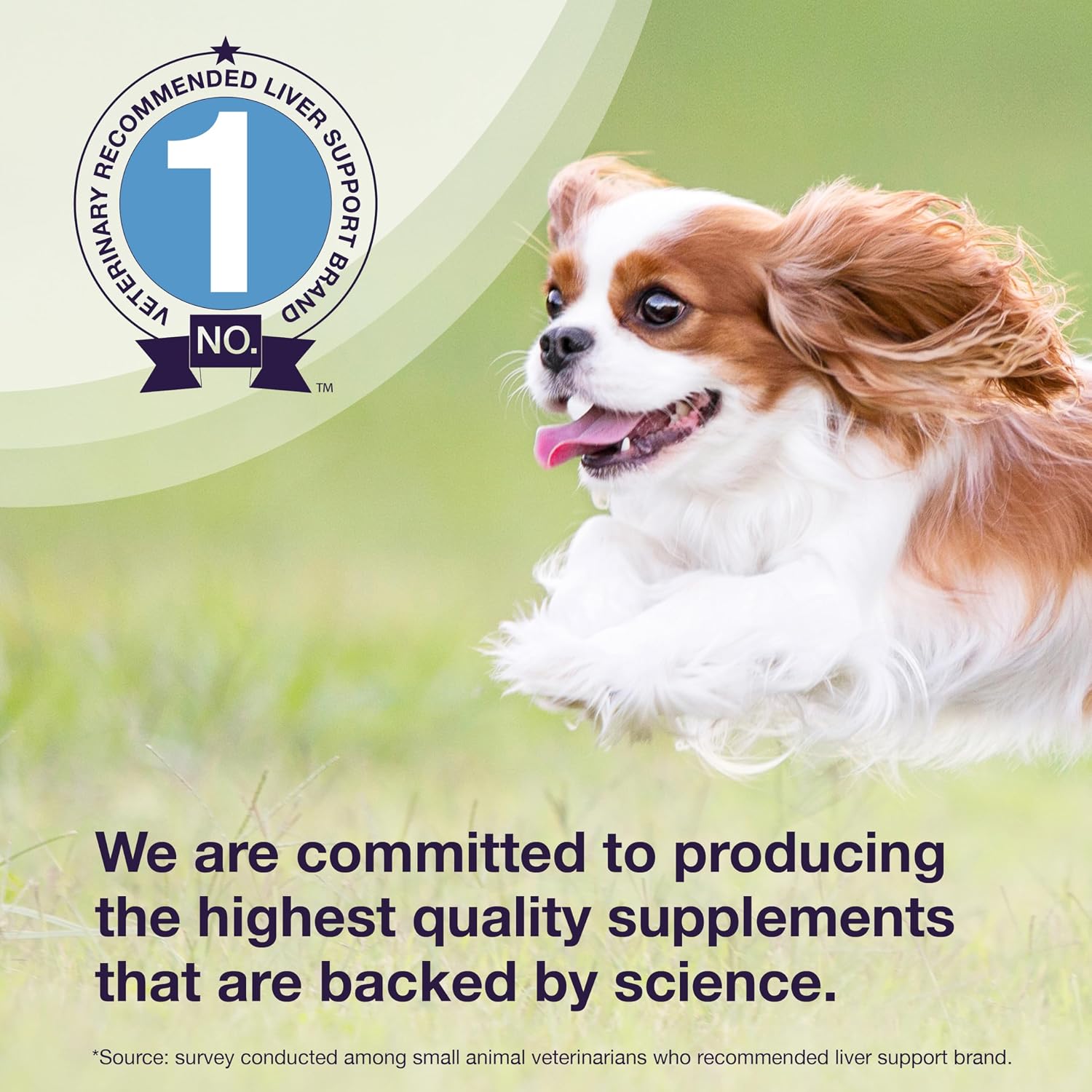 Nutramax Denamarin for small pets dosage instructions label