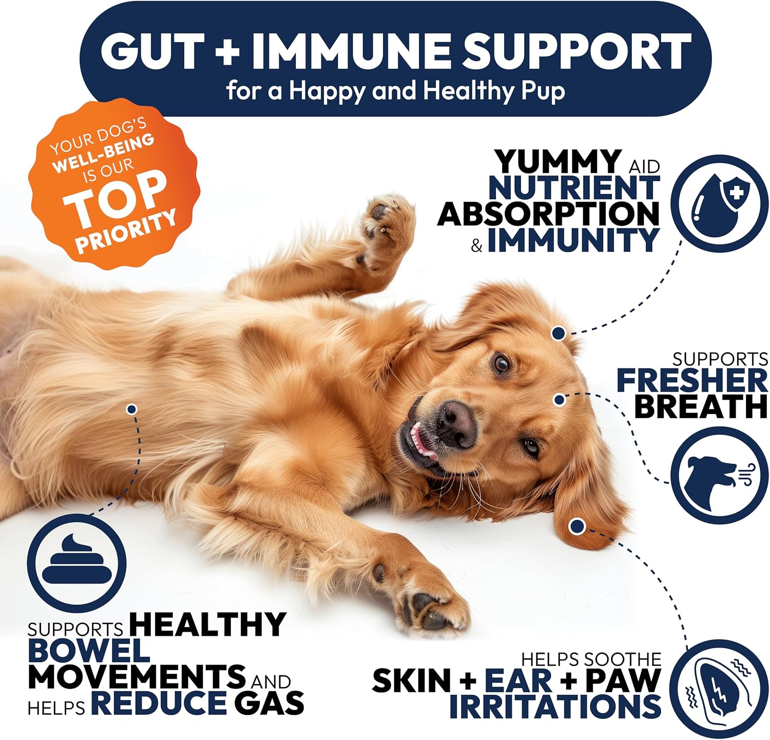 Close up of Petsology probiotic soft chews