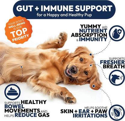 Close up of Petsology probiotic soft chews