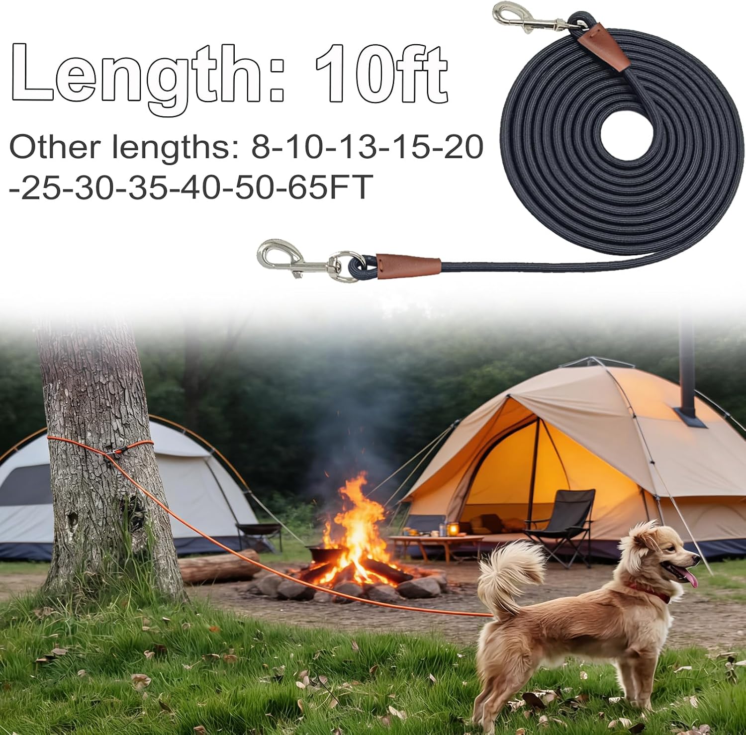 Tangle-free 360 degree rotatable zinc alloy hook on nylon rope dog lead.